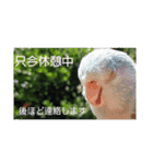 私のお気に入りファミリー7（個別スタンプ：1）