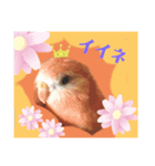 私のお気に入りファミリー7（個別スタンプ：6）