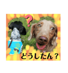 私のお気に入りファミリー7（個別スタンプ：7）