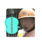 あいさつは基本だね〜（個別スタンプ：1）