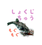沖縄の海の魚たち（個別スタンプ：3）
