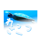 沖縄の海の魚たち（個別スタンプ：4）