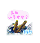 沖縄の海の魚たち（個別スタンプ：7）