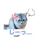 サンカクさん家のぬこたち（個別スタンプ：2）