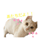 サンカクさん家のぬこたち（個別スタンプ：9）