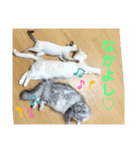 サンカクさん家のぬこたち（個別スタンプ：11）
