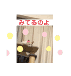 サンカクさん家のぬこたち（個別スタンプ：16）