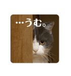 つぶの一言（個別スタンプ：3）