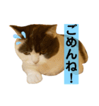 つぶの一言（個別スタンプ：4）