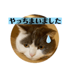 つぶの一言（個別スタンプ：5）