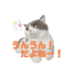 つぶの一言（個別スタンプ：7）