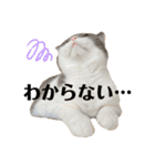 つぶの一言（個別スタンプ：9）