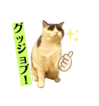 つぶの一言（個別スタンプ：10）