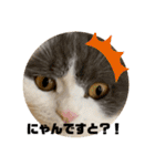 つぶの一言（個別スタンプ：21）