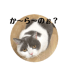 つぶの一言（個別スタンプ：22）