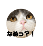 つぶの一言（個別スタンプ：24）