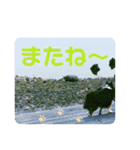 ろめスタンプ☆（個別スタンプ：3）