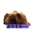 シエルスタンプズ2（個別スタンプ：4）