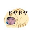 かいとプレミアスタンプ3（個別スタンプ：6）