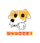 ジャック太郎イラスト（個別スタンプ：1）
