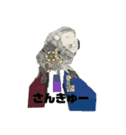 souri作品集 2（個別スタンプ：16）