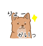 犬と猫のかわいいスタンプ（個別スタンプ：13）