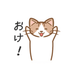 犬と猫のかわいいスタンプ（個別スタンプ：14）