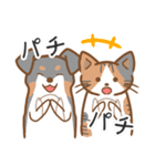 犬と猫のかわいいスタンプ（個別スタンプ：19）