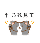 犬と猫のかわいいスタンプ（個別スタンプ：35）