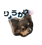 つ く ね（個別スタンプ：8）