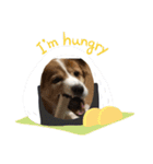 RUN子...たまに、ドン君（個別スタンプ：14）