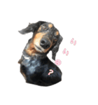 まっちょりーー（個別スタンプ：1）