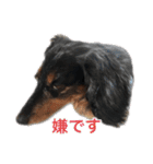 まっちょりーー（個別スタンプ：2）