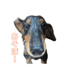 まっちょりーー（個別スタンプ：11）