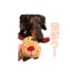 まっちょりーー（個別スタンプ：16）