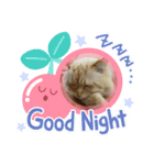 猫のレオンくん（個別スタンプ：2）