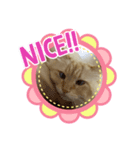 猫のレオンくん（個別スタンプ：4）