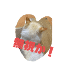 猫のレオンくん（個別スタンプ：7）