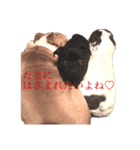 ちびうにスタンプ（個別スタンプ：3）