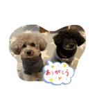 R＆L といぷーず（個別スタンプ：9）