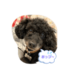 R＆L といぷーず（個別スタンプ：14）