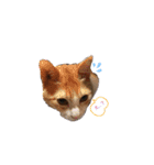 猫ちゃんずLove♡（個別スタンプ：10）