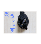 フォル姫 パートⅡ（個別スタンプ：1）