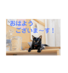 フォル姫 パートⅡ（個別スタンプ：2）