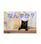 フォル姫 パートⅡ（個別スタンプ：3）