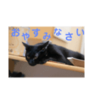 フォル姫 パートⅡ（個別スタンプ：7）