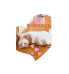 もこの日常すたんぷ（個別スタンプ：1）