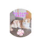 もこの日常すたんぷ（個別スタンプ：2）