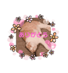 もこの日常すたんぷ（個別スタンプ：3）