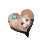 もこの日常すたんぷ（個別スタンプ：8）